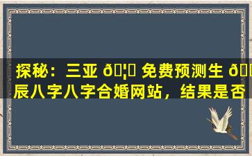 探秘：三亚 🦍 免费预测生 🌴 辰八字八字合婚网站，结果是否可信